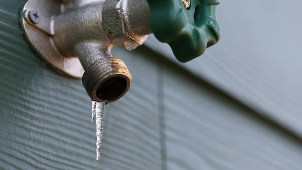 Best Drain Cleaning Services  in Covington, WA