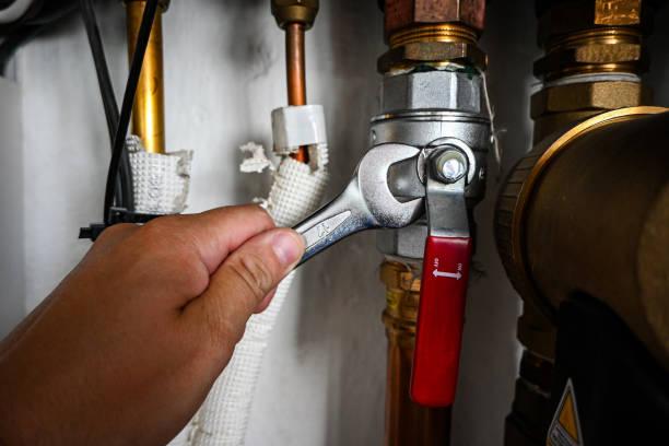 Best Toilet Repair Services  in Covington, WA